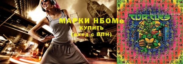 стафф Протвино