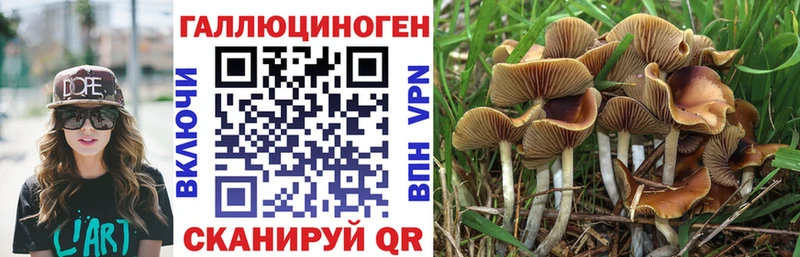Псилоцибиновые грибы прущие грибы  Курганинск 